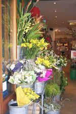 P0000565.jpg (160556 bytes)